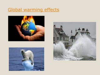 Global warming effects
 