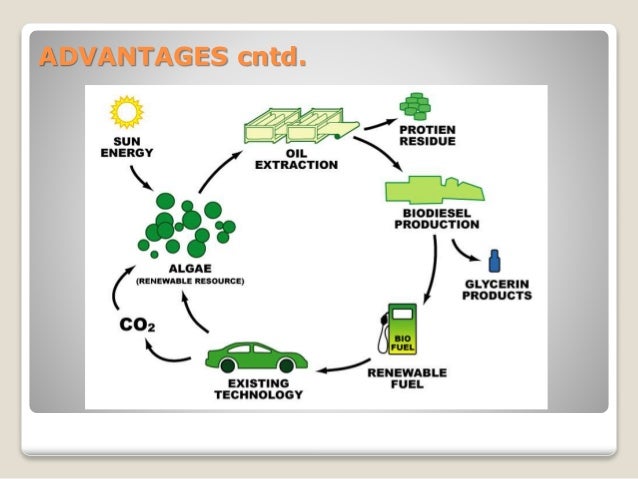 Green Fuel Technologies