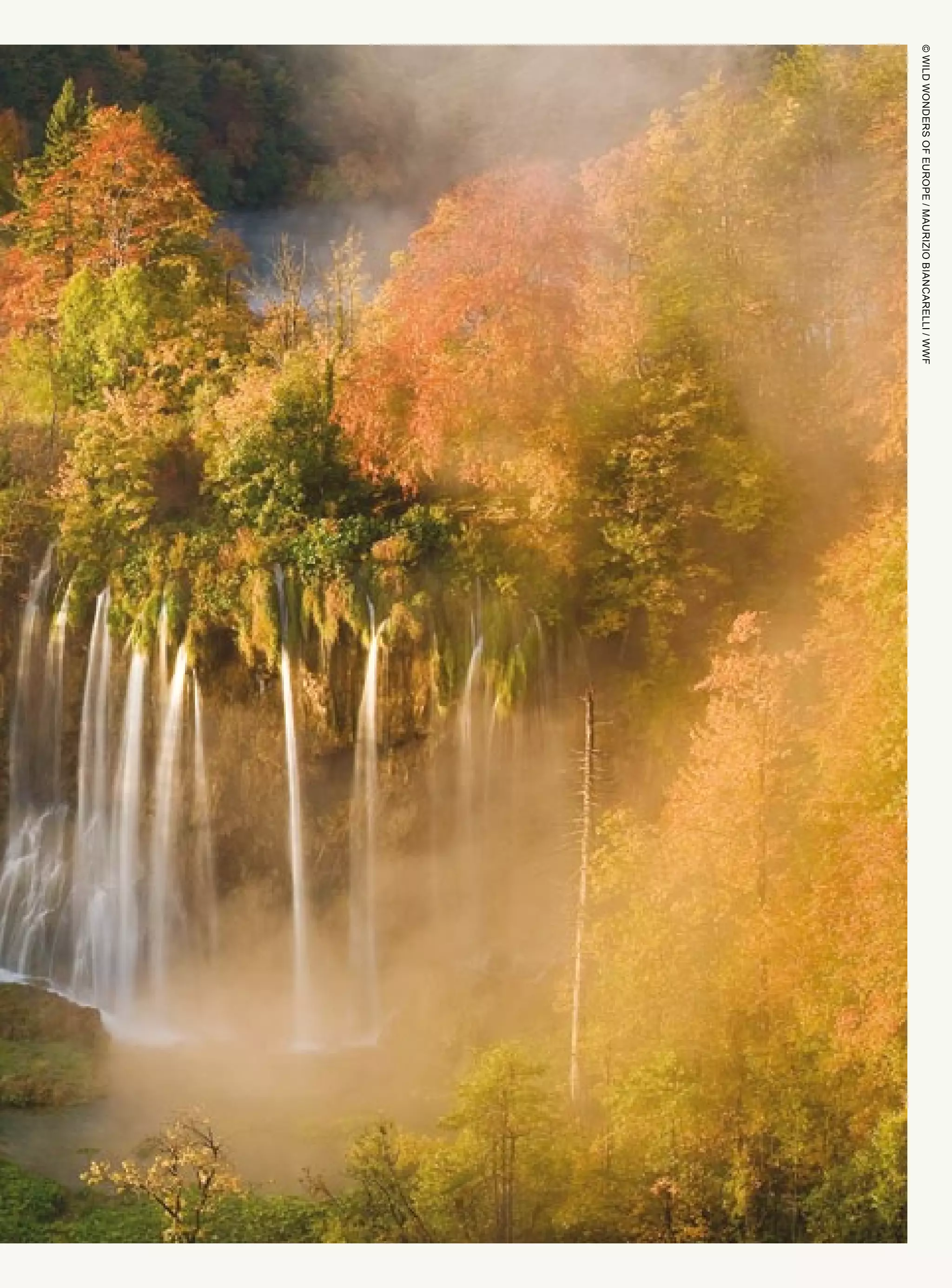 ©WILDWONDERSOFEUROPE/MAURIZIOBIANCARELLI/WWF
 