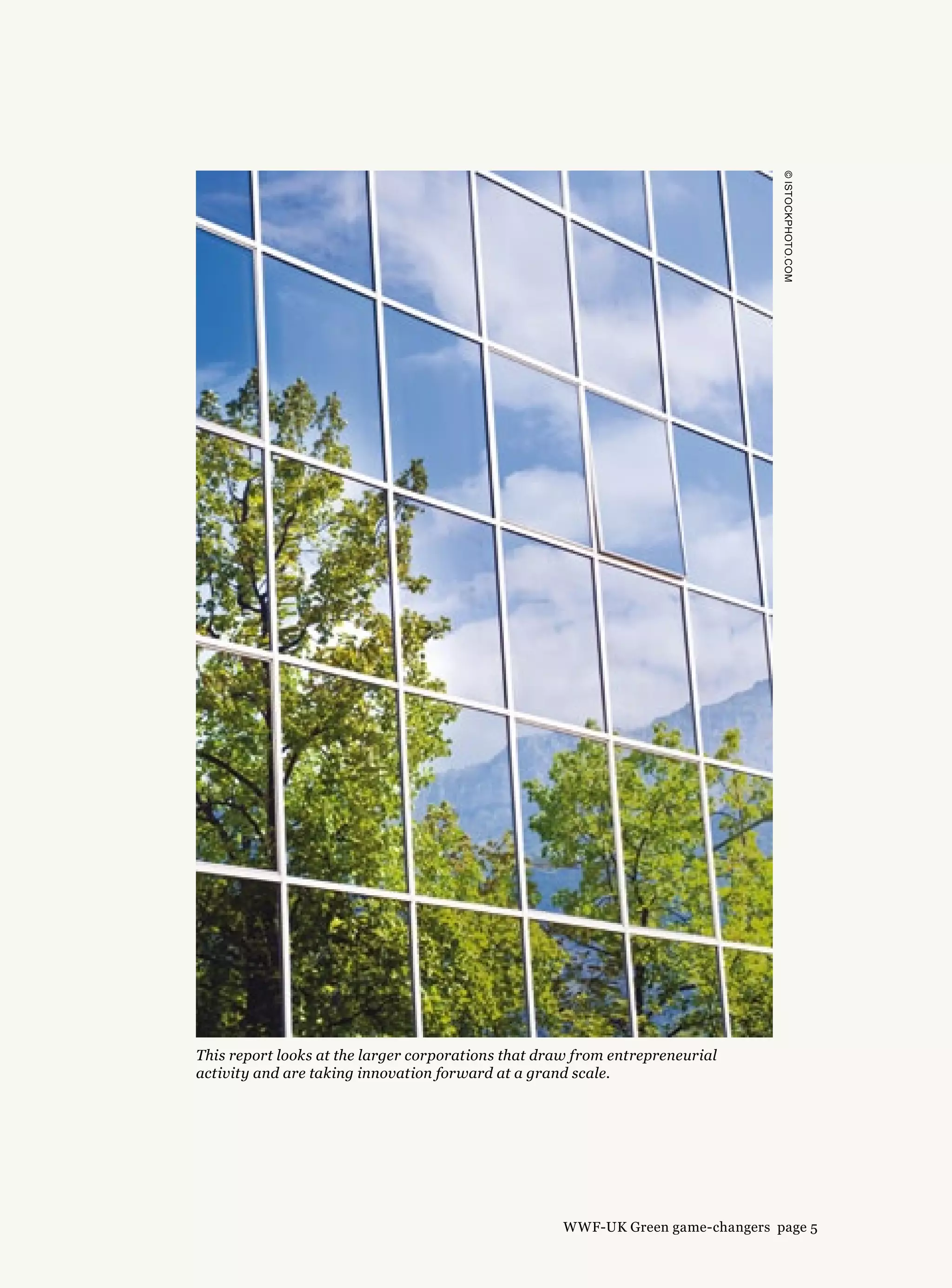 ©ISTOCKPHOTO.COM
This report looks at the larger corporations that draw from entrepreneurial
activity and are taking innovation forward at a grand scale.
WWF-UK Green game-changers page 5
 
