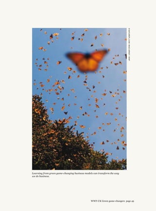 ©NATUREPL.COM/INGOARNDT/WWF
Learning from green game-changing business models can transform the way
we do business.
WWF-UK Green game-changers page 49
 