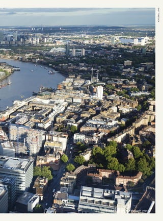 SHUTTERSTOCK
WWF-UK Green game-changers page 35
 