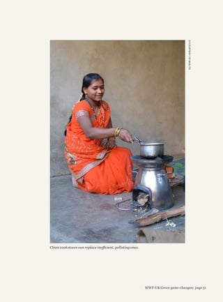 ©COURTESYOFBIOLITE
Clean cookstoves can replace inefficient, polluting ones.
WWF-UK Green game-changers page 51
 