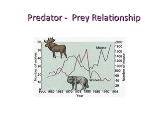 Predator - Prey RelationshipPredator - Prey Relationship
 