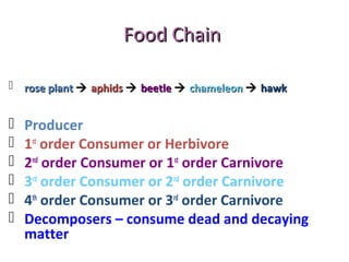 Food ChainFood Chain
 rose plantrose plant  aphidsaphids  beetlebeetle  chameleonchameleon  hawkhawk
 Producer
 1st
order Consumer or Herbivore
 2nd
order Consumer or 1st
order Carnivore
 3rd
order Consumer or 2nd
order Carnivore
 4th
order Consumer or 3rd
order Carnivore
 Decomposers – consume dead and decaying
matter
 