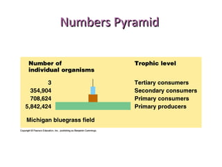 Numbers PyramidNumbers Pyramid
 