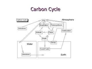 Carbon CycleCarbon Cycle
 