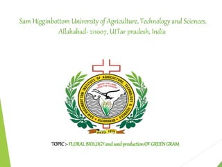 Sam Higginbottom University of Agriculture, Technology and Sciences.
Allahabad- 211007, UtTar pradesh, India
TOPIC:- FLORALBIOLOGYandseedproductionOFGREENGRAM
 