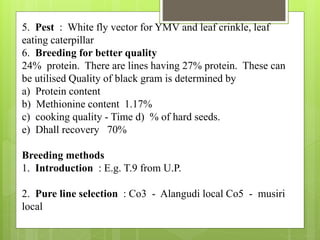 5. Pest : White fly vector for YMV and leaf crinkle, leaf
eating caterpillar
6. Breeding for better quality
24% protein. There are lines having 27% protein. These can
be utilised Quality of black gram is determined by
a) Protein content
b) Methionine content 1.17%
c) cooking quality - Time d) % of hard seeds.
e) Dhall recovery 70%
Breeding methods
1. Introduction : E.g. T.9 from U.P.
2. Pure line selection : Co3 - Alangudi local Co5 - musiri
local
 
