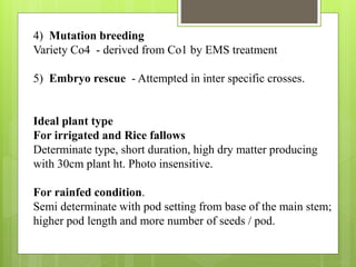 4) Mutation breeding
Variety Co4 - derived from Co1 by EMS treatment
5) Embryo rescue - Attempted in inter specific crosses.
Ideal plant type
For irrigated and Rice fallows
Determinate type, short duration, high dry matter producing
with 30cm plant ht. Photo insensitive.
For rainfed condition.
Semi determinate with pod setting from base of the main stem;
higher pod length and more number of seeds / pod.
 