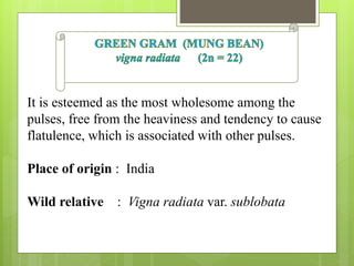 It is esteemed as the most wholesome among the
pulses, free from the heaviness and tendency to cause
flatulence, which is associated with other pulses.
Place of origin : India
Wild relative : Vigna radiata var. sublobata
 