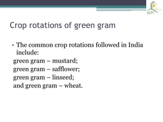 Green gram (vigna radiata)