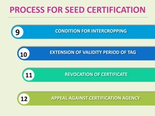 Seed Production in Green gram ppt