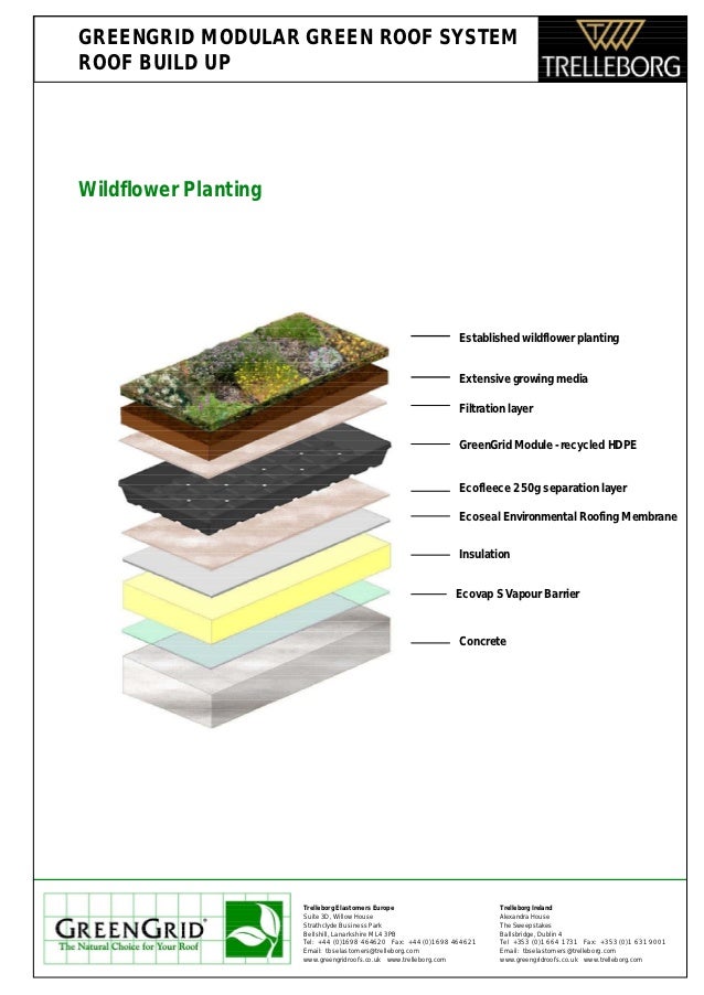 greengrid modular green roof system roof build up how to build a timeline in powerpoint