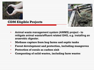 CDM Eligible Projects
• Animal waste management system (AWMS) project - to
mitigate animal waste/effluent related GHG, e.g. installing an
anaerobic digester.
• Methane capture from hog farms and septic tanks
• Forest development and protection, including mangroves
• Protection of corals as carbon sink
• Composting of solid wastes, including farm wastes
 
