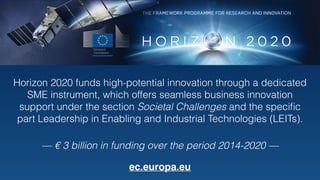 Horizon 2020 funds high-potential innovation through a dedicated 
SME instrument, which offers seamless business innovation 
support under the section Societal Challenges and the specific 
part Leadership in Enabling and Industrial Technologies (LEITs). 
— € 3 billion in funding over the period 2014-2020 — 
ec.europa.eu 
 