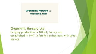 Greenhills Nursery Ltd
hedging production in Tilford, Surrey was
established in 1947. A family run business with great
service.
 