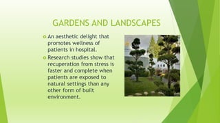 GARDENS AND LANDSCAPES 
 An aesthetic delight that 
promotes wellness of 
patients in hospital. 
 Research studies show that 
recuperation from stress is 
faster and complete when 
patients are exposed to 
natural settings than any 
other form of built 
environment. 
 