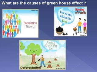 What are the causes of green house effect ?
 