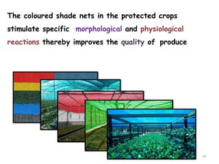 The coloured shade nets in the protected crops
stimulate specific morphological and physiological
reactions thereby improves the quality of produce
14
 