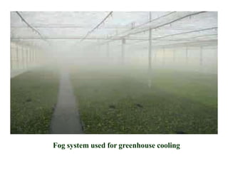 Fog system used for greenhouse cooling
 