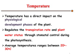 Temperature
 Temperature has a direct impact on the
physiological
development phases of the plant.
 Regulates the transpiration rate and plant
water status through stomatal control during
the photosynthesis.
 Average temperatures ranges between 20o-
30oC
3
 