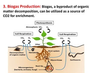 3. Biogas Production: Biogas, a byproduct of organic
matter decomposition, can be utilized as a source of
CO2 for enrichment.
 
