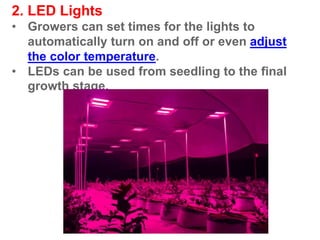2. LED Lights
• Growers can set times for the lights to
automatically turn on and off or even adjust
the color temperature.
• LEDs can be used from seedling to the final
growth stage.
 