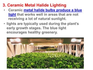 3. Ceramic Metal Halide Lighting
• Ceramic metal halide bulbs produce a blue
light that works well in areas that are not
receiving a lot of natural sunlight.
• lights are typically used during the plant’s
early growth stages. The blue light
encourages healthy greenery.
 