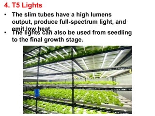 4. T5 Lights
• The slim tubes have a high lumens
output, produce full-spectrum light, and
emit low heat.
• The lights can also be used from seedling
to the final growth stage.
 