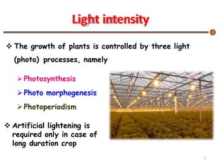 Light intensity
 The growth of plants is controlled by three light
(photo) processes, namely
Photosynthesis
Photo morphogenesis
Photoperiodism
 Artificial lightening is
required only in case of
long duration crop
5
 
