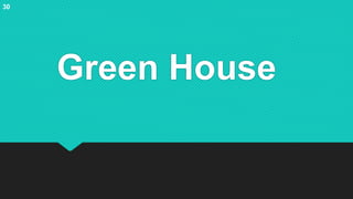 Green House
30
 