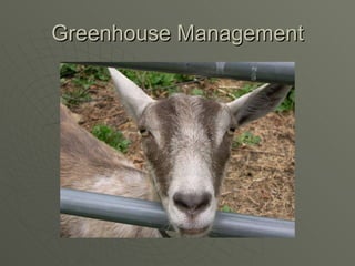 Greenhouse Management 
