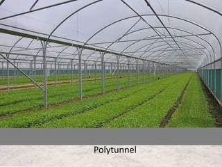 Greenhouse types & its components