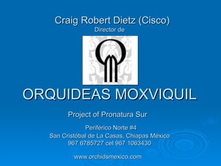   Craig Robert Dietz (Cisco) Director de ORQUIDEAS MOXVIQUIL Project of Pronatura Sur     Periférico Norte #4 San Cristóbal de La Casas, Chiapas México 967 6785727 cel 967 1063430 www.orchidsmexico.com   