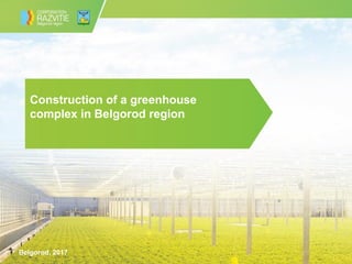 Belgorod, 2017
Construction of a greenhouse
complex in Belgorod region
 