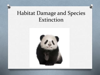 Habitat Damage and Species
Extinction
 