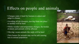 Effects on people and animals
• Changes make it hard for humans to adjust and
adapt to climate
• Avoiding all the disasters, moving from one place
to another will be hard
• While weather and temperature changes, the homes
of plants and animals will be affected
• Moving ocean animals like seals will be hard
• New homes for animals may not be safe causing
loss in animal population
 