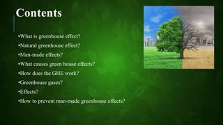 Contents
•What is greenhouse effect?
•Natural greenhouse effect?
•Man-made effects?
•What causes green house effects?
•How does the GHE work?
•Greenhouse gases?
•Effects?
•How to prevent man-made greenhouse effects?
 