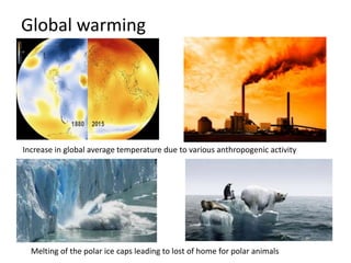 Global warming
Melting of the polar ice caps leading to lost of home for polar animals
Increase in global average temperature due to various anthropogenic activity
 