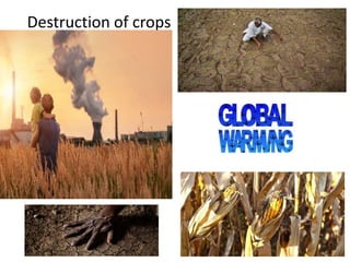 Destruction of crops
 