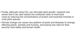 • Finally, although rising CO2 can stimulate plant growth, research has
shown that it can also reduce the nutritional value of most food
crops by reducing the concentrations of protein and essential minerals in
most plant species.
• Climate change can cause new patterns of pests and diseases to emerge,
affecting plants, animals and humans, and posing new risks for food
security, food safety and human health.
 
