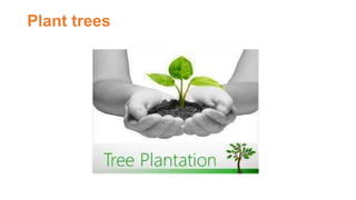 Plant trees
 