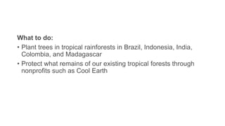 What to do:
• Plant trees in tropical rainforests in Brazil, Indonesia, India,
Colombia, and Madagascar
• Protect what remains of our existing tropical forests through
nonprofits such as Cool Earth
 