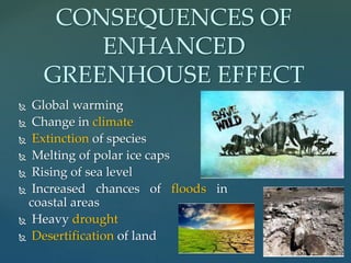  Global warming
 Change in climate
 Extinction of species
 Melting of polar ice caps
 Rising of sea level
 Increased chances of floods in
coastal areas
 Heavy drought
 Desertification of land
CONSEQUENCES OF
ENHANCED
GREENHOUSE EFFECT
 