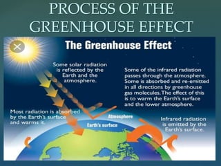 PROCESS OF THE
GREENHOUSE EFFECT
 