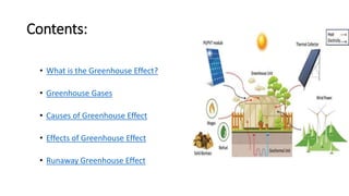 Contents:
• What is the Greenhouse Effect?
• Greenhouse Gases
• Causes of Greenhouse Effect
• Effects of Greenhouse Effect
• Runaway Greenhouse Effect
 