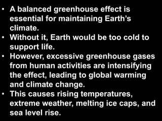 Understanding the Greenhouse Effect: Causes, Impacts, and Solutions for ...