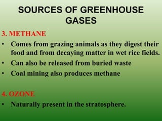 SOURCES OF GREENHOUSE
GASES
3. METHANE
• Comes from grazing animals as they digest their
food and from decaying matter in wet rice fields.
• Can also be released from buried waste
• Coal mining also produces methane
4. OZONE
• Naturally present in the stratosphere.
 