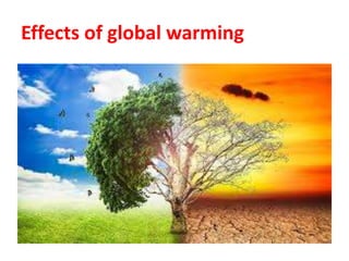 Effects of global warming
 